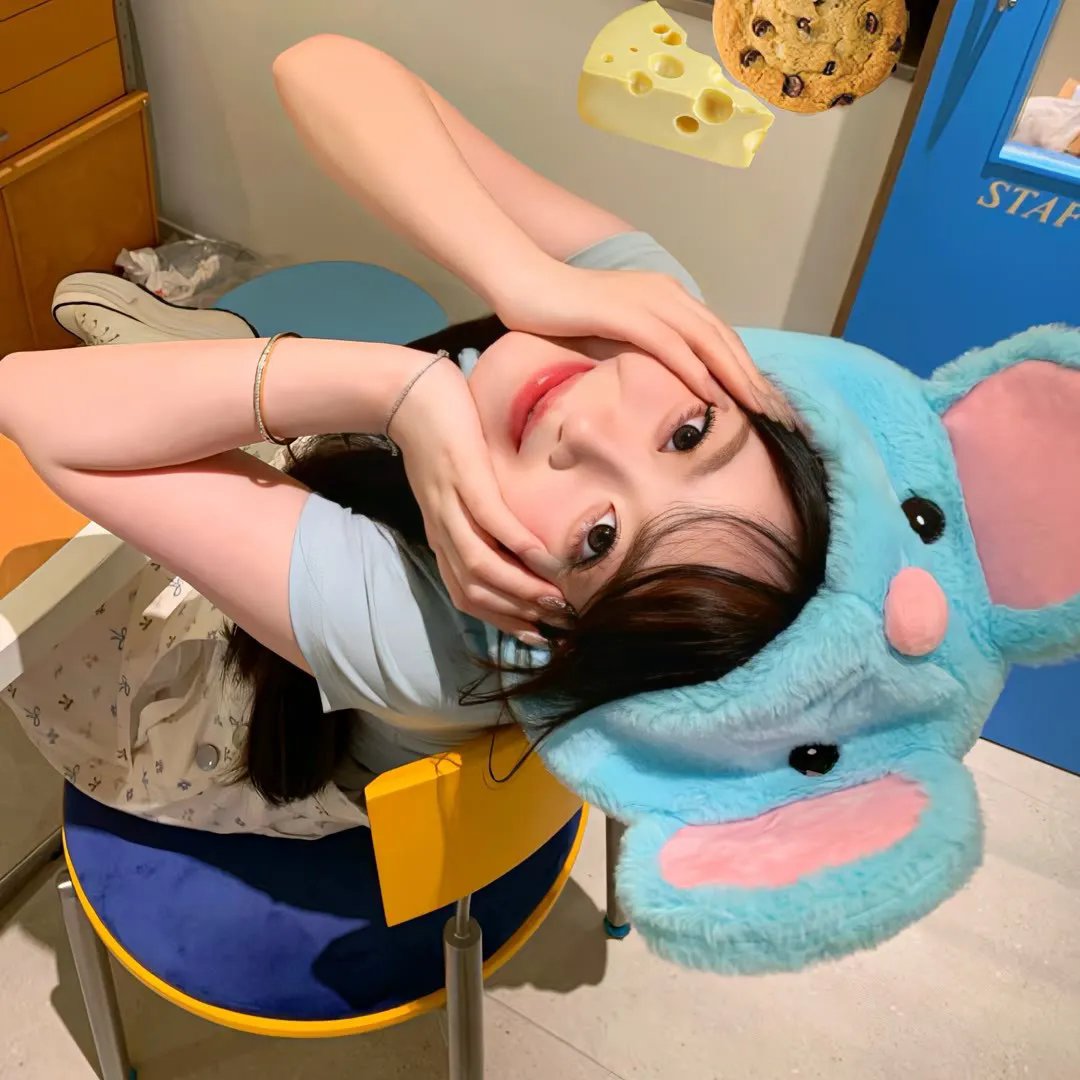 派特和麦特:再度出击